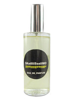 Saaliiisssiimo Hilde Soliani for women and men