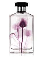 Sheer Stella 2011 Stella McCartney for women