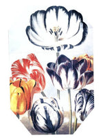 Print Collection Stella 02 (2011) Stella McCartney for women