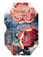 Print Collection Stella 03 (2011) Stella McCartney for women