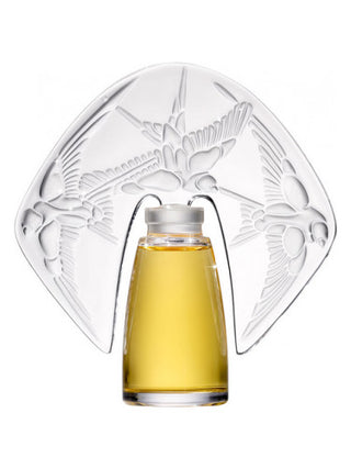 Amorem Rose Shalini for Women Perfume - Elegant Floral Fragrance | Buy Now