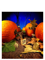 Gunnerson's Pumpkin Patch Solstice Scents for women and men