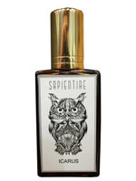 Ícarus Sapientiae Niche for men