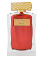 Anvil David Yurman for women and men