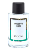 Rosebud Moss Anconu for women and men