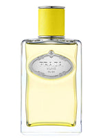 Infusion d'Ylang Prada for women and men