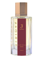 J Founder AlBidaa for women and men