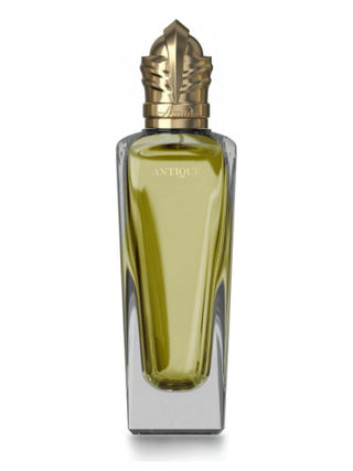 Antique Amado Unisex Perfume - Exquisite Scent for Men and Women | Buy Online