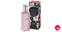 Blossom & Peach Yardley for women