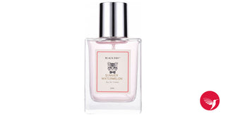 Summer Watermelon Black Paw Unisex Perfume - Refreshing fragrance for women and men | Buy Online
